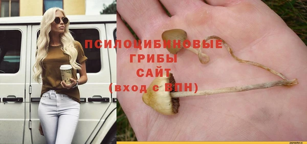 кристаллы Богородск