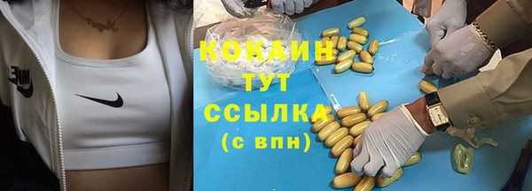 mdpv Богданович