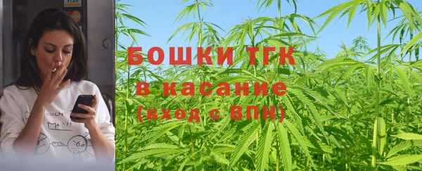 mix Богородицк