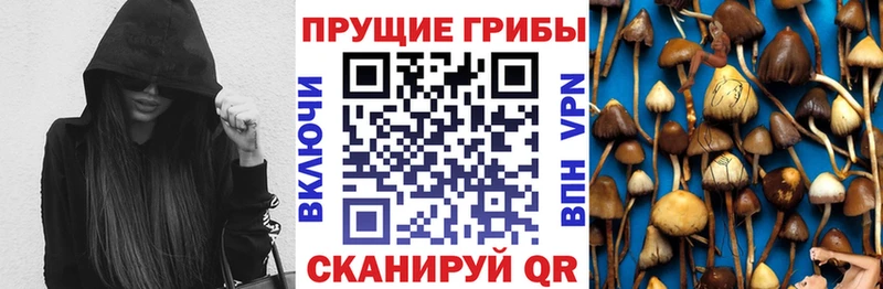Псилоцибиновые грибы ЛСД  закладки  Катав-Ивановск 